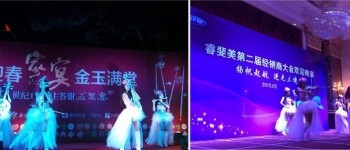 水晶電提