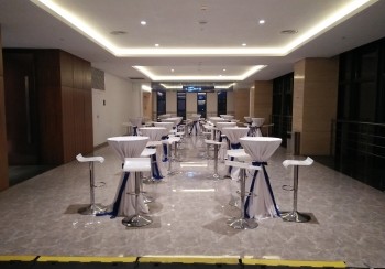 吧臺(tái)桌椅 （3）